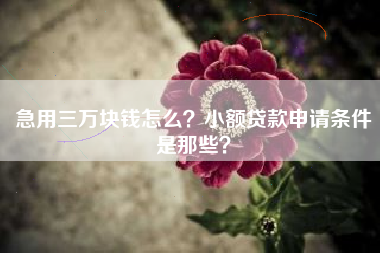 急用三万块钱怎么？小额贷款申请条件是那些？