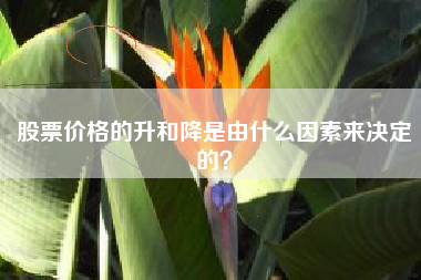 股票价格的升和降是由什么因素来决定的？