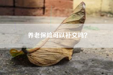 养老保险可以补交吗？