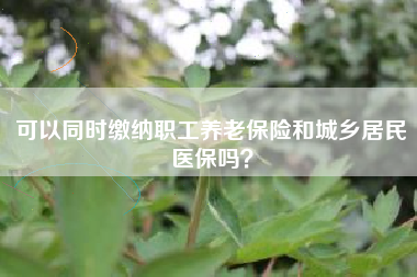 可以同时缴纳职工养老保险和城乡居民医保吗？
