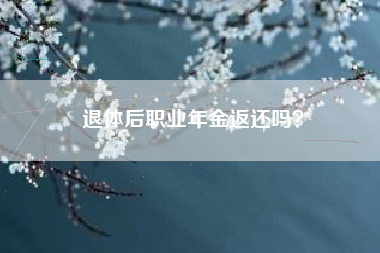 退体后职业年金返还吗？