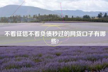 不看征信不看负债秒过的网贷口子有哪些?