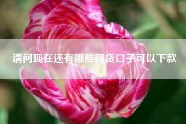 请问现在还有哪些网贷口子可以下款