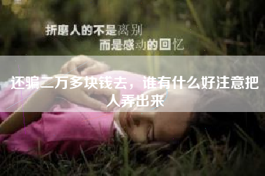 还骗二万多块钱去，谁有什么好注意把人弄出来