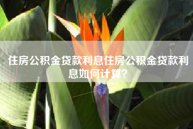 住房公积金贷款利息住房公积金贷款利息如何计算？