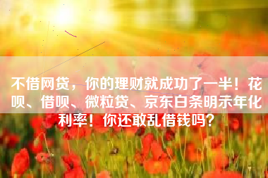 不借网贷，你的理财就成功了一半！花呗、借呗、微粒贷、京东白条明示年化利率！你还敢乱借钱吗？