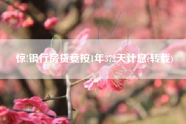 惊!银行房贷竟按1年372天计息(转载)