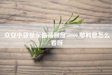 众安小贷显示最高额度50000,那利息怎么看呀