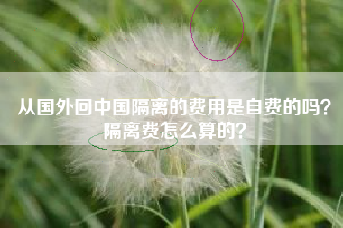 从国外回中国隔离的费用是自费的吗？隔离费怎么算的？