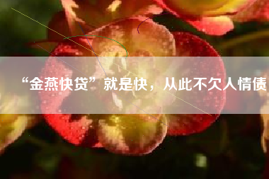 “金燕快贷”就是快，从此不欠人情债