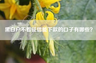 黑白户不看征信能下款的口子有哪些？