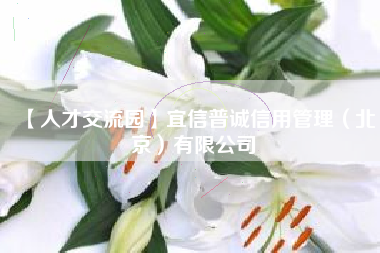 【人才交流园】宜信普诚信用管理（北京）有限公司