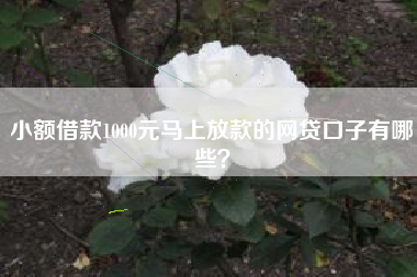 小额借款1000元马上放款的网贷口子有哪些？