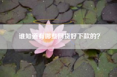 谁知道有哪些网贷好下款的？
