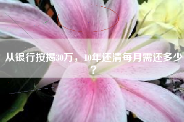 从银行按揭30万，10年还清每月需还多少？