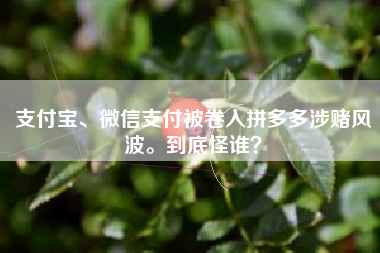 支付宝、微信支付被卷入拼多多涉赌风波。到底怪谁？