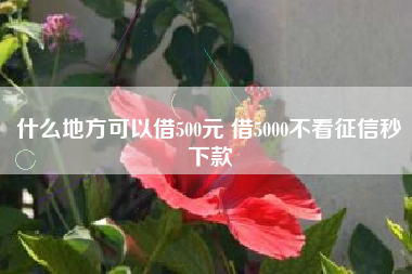 什么地方可以借500元 借5000不看征信秒下款