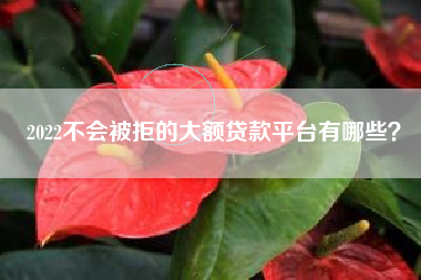 2022不会被拒的大额贷款平台有哪些？