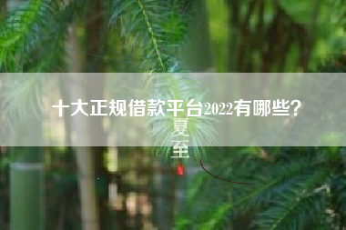 十大正规借款平台2022有哪些？