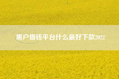 黑户借钱平台什么最好下款2022
