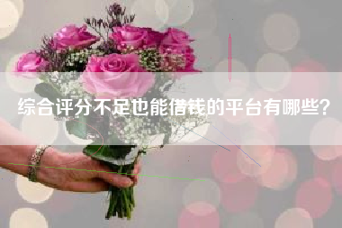 综合评分不足也能借钱的平台有哪些？