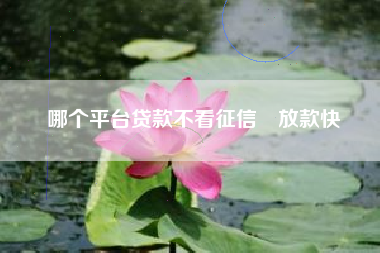 哪个平台贷款不看征信 放款快
