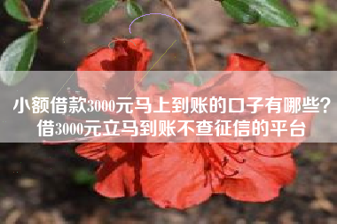 小额借款3000元马上到账的口子有哪些？借3000元立马到账不查征信的平台