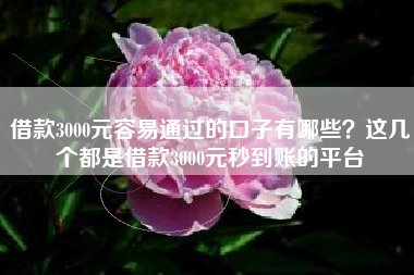 借款3000元容易通过的口子有哪些？这几个都是借款3000元秒到账的平台