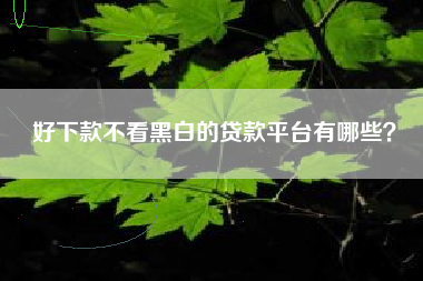 好下款不看黑白的贷款平台有哪些？