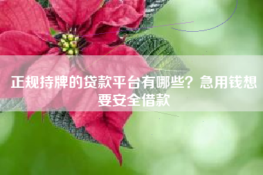 正规持牌的贷款平台有哪些？急用钱想要安全借款
