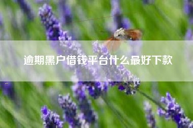 逾期黑户借钱平台什么最好下款