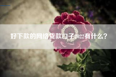 好下款的网络贷款口子2022有什么？