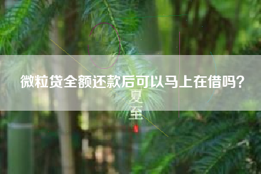 微粒贷全额还款后可以马上在借吗？