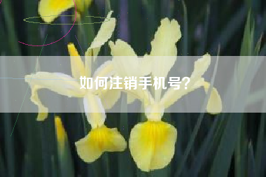 如何注销手机号？
