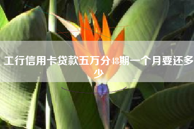 工行信用卡贷款五万分48期一个月要还多少