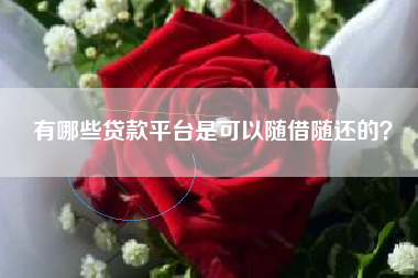 有哪些贷款平台是可以随借随还的？