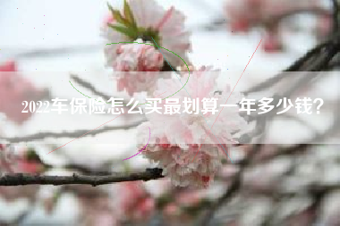 2022车保险怎么买最划算一年多少钱？