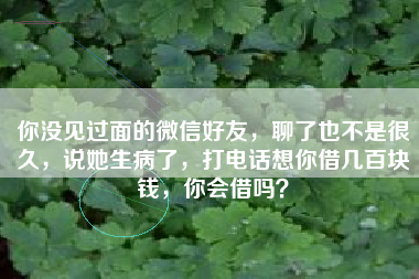 你没见过面的微信好友，聊了也不是很久，说她生病了，打电话想你借几百块钱，你会借吗？