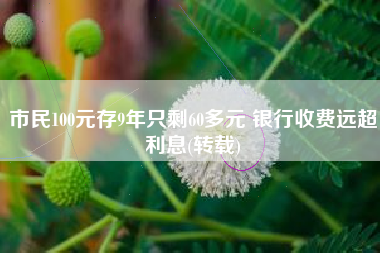 市民100元存9年只剩60多元 银行收费远超利息(转载)