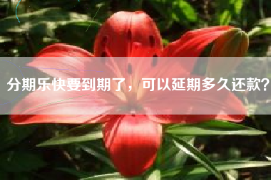 分期乐快要到期了，可以延期多久还款？
