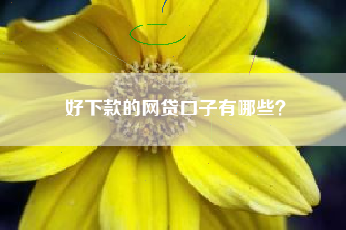 好下款的网贷口子有哪些？