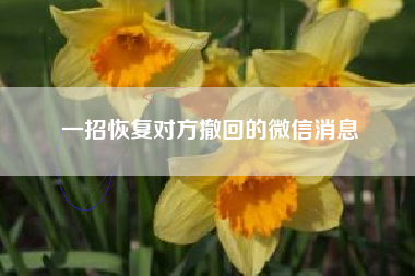 一招恢复对方撤回的微信消息