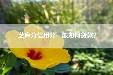 芝麻分信用分一般如何贷款？