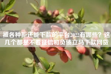 被各种拒还能下款的平台2022有哪些？这几个都是不看征信和负债立马下款网贷