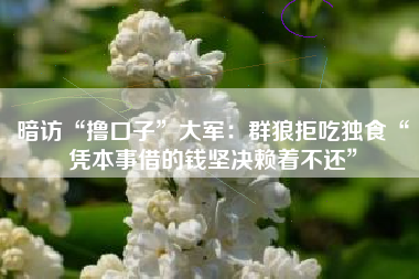 暗访“撸口子”大军：群狼拒吃独食“凭本事借的钱坚决赖着不还”