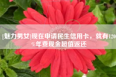 [魅力男女]现在申请民生信用卡，就有120%年费现金超值返还