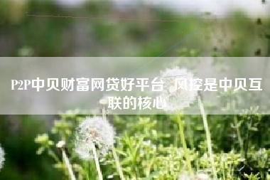 P2P中贝财富网贷好平台  风控是中贝互联的核心