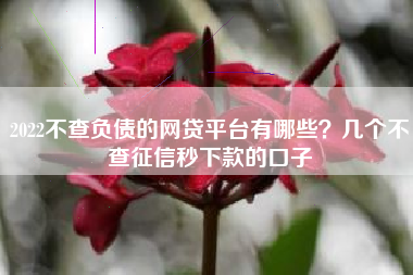 2022不查负债的网贷平台有哪些？几个不查征信秒下款的口子