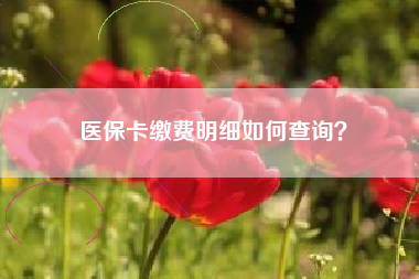 医保卡缴费明细如何查询？