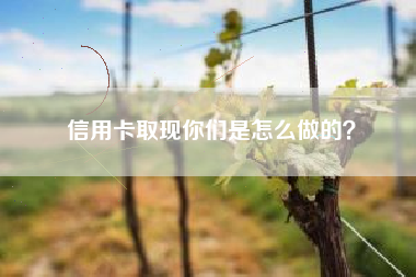 信用卡取现你们是怎么做的？